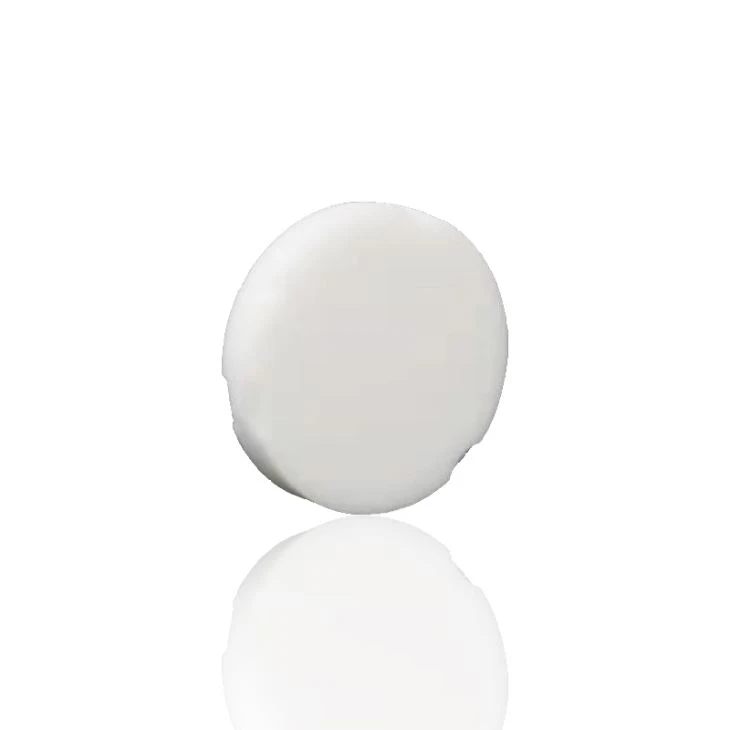 Dental PMMA Puck