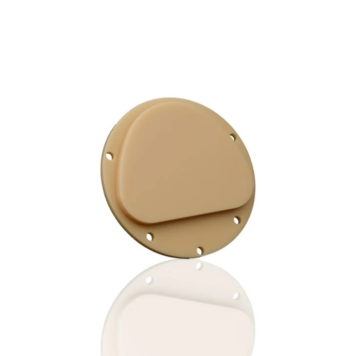 Dental PMMA Puck